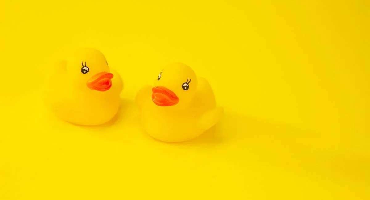 Pourquoi les sextoys adoptent-ils la forme de canard ? Analyse sans détour ?